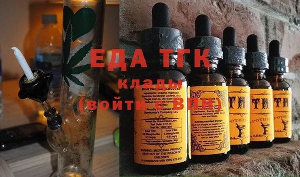 эйфоретик Няндома