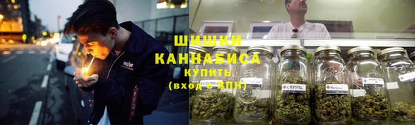 эйфоретик Няндома