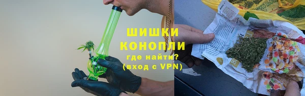 эйфоретик Няндома