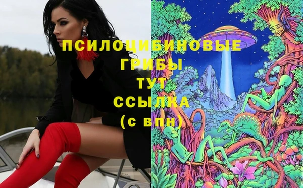 метамфетамин Осташков