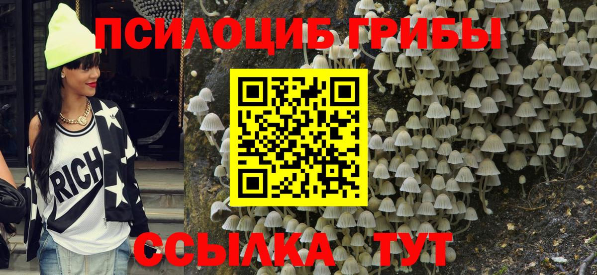 Галлюциногенные грибы прущие грибы  Вход с VPN  Кушва  Псилоцибиновые грибы Cubensis 