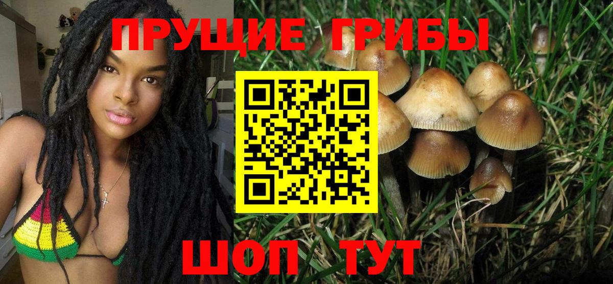 Галлюциногенные грибы GOLDEN TEACHER Кушва